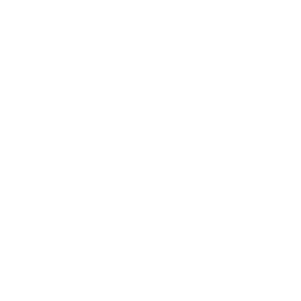 Iron Dog